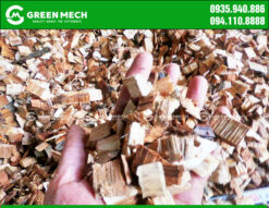 Dăm gỗ đạt chất lượng băm từ máy băm GREEN MECH
